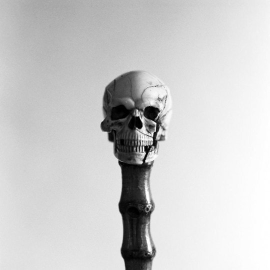 Edouard De Pazzi, Diptyque Memento Mori B