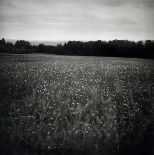 Julien Félix, Série "Les heures préfèrent le silence pour fuir"