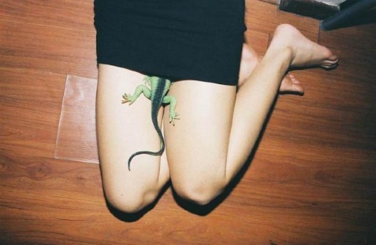 Ren Hang