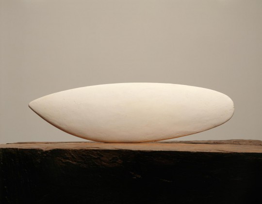 Constantin Brancusi, Le Poisson