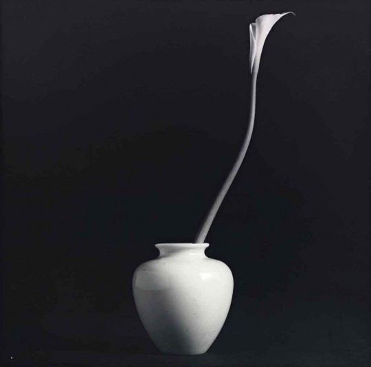 Robert Mapplethorpe