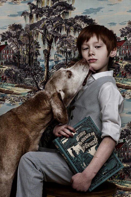 Shelly Mosman, série « Animal Child