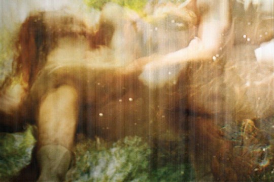 Barbara Cole, Consolation Lenticular