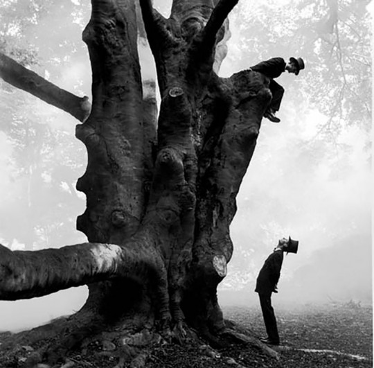 Rodney Smith, Twins in Tree