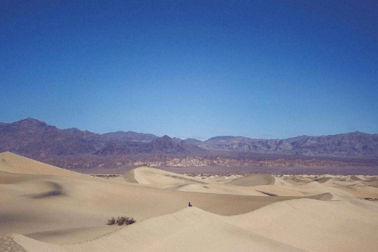 Randy P. Martin, Death Valley National Park