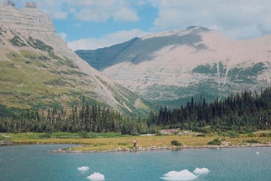 Randy P. Martin, Glacier National Park