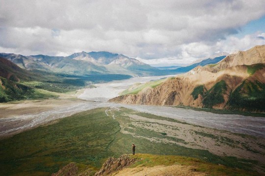 Randy P. Martin, Denali National Park