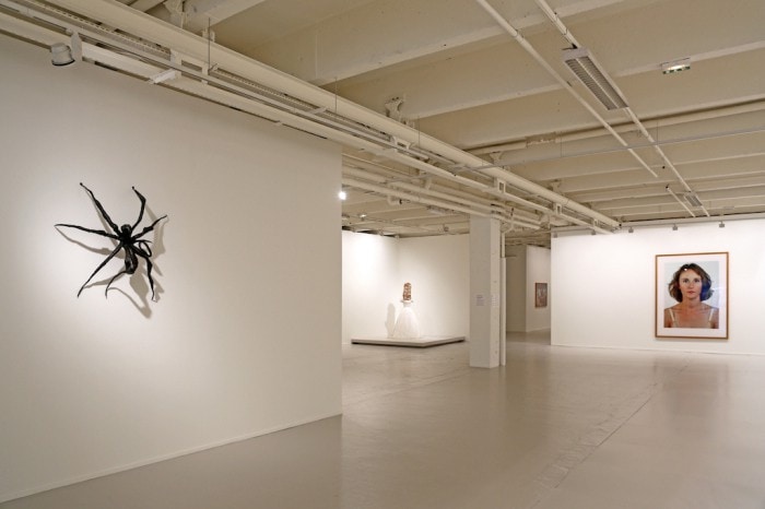 Vue de l’exposition Passions Secrètes au Tripostal de Lille, Louise Bourgeois, Spider