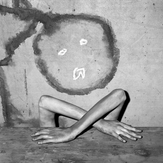 Roger Ballen, Mimicry