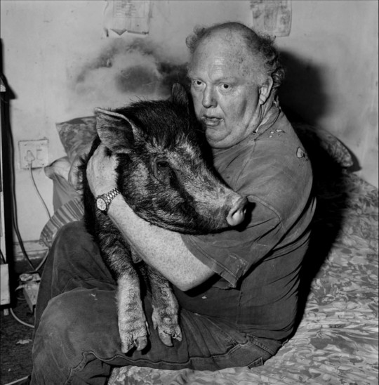 Roger Ballen, Brian and pet pig