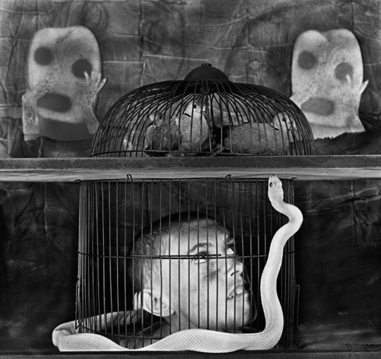 Roger Ballen, caged