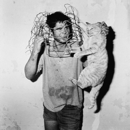 Roger Ballen, Cat catcher