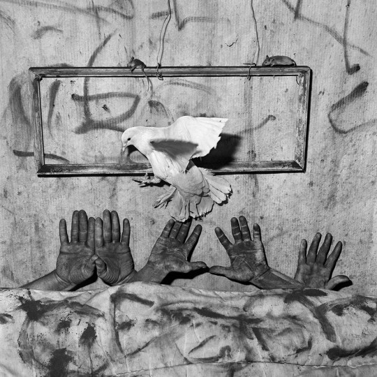 Roger Ballen, five hands