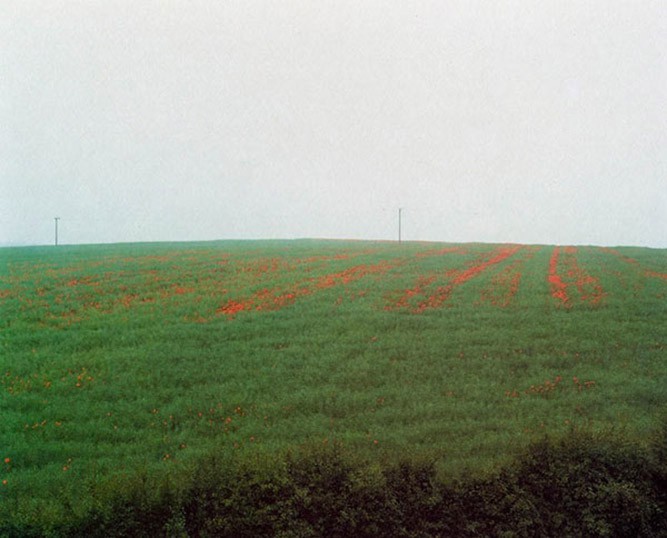 Paul Graham, The Great North Road