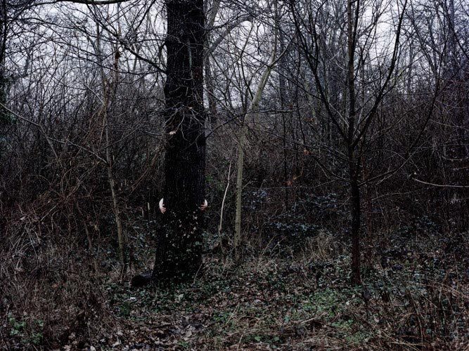 Julian Feeld, La Forêt 1, 2014
