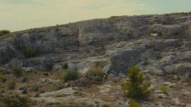 Julian Feeld, Photogramme extrait du film 16mm SOIL, 2014