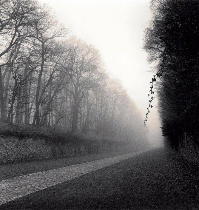 Michael Kenna, Suspended Vine