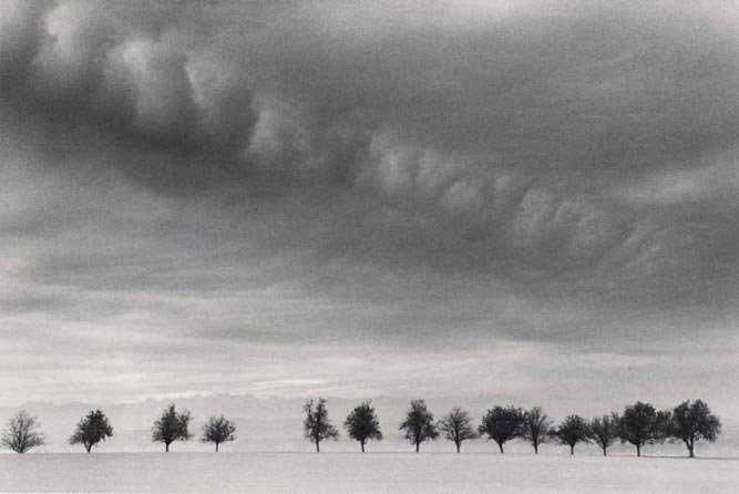 Michael Kenna, Fourteen Trees