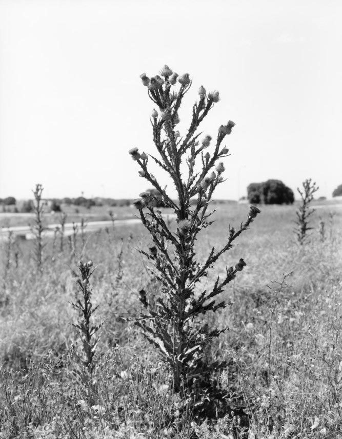 Jürgen Nefzger, Villaflores