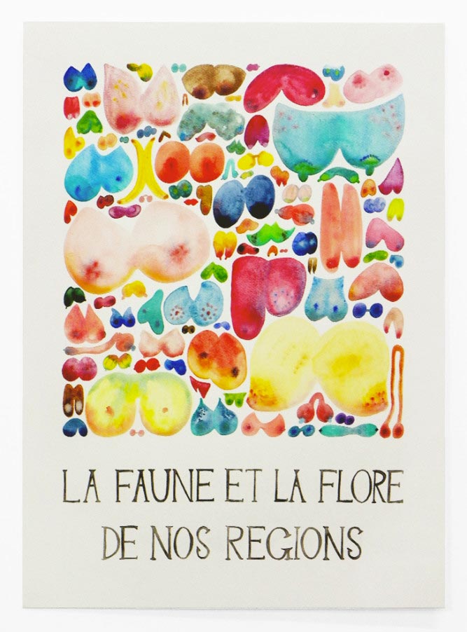 Céline Notheaux, la faune et la flore de nos régions