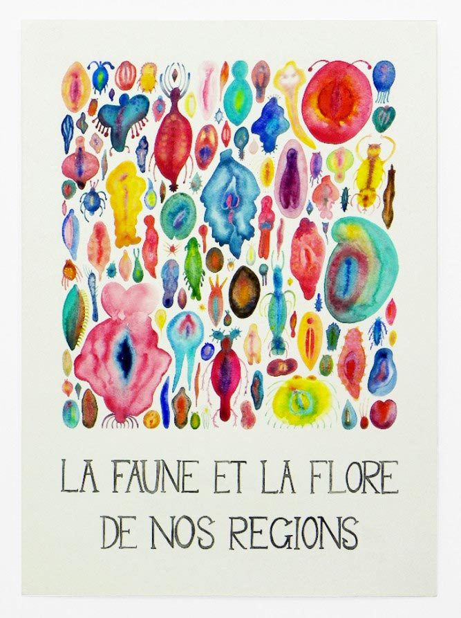 Céline Notheaux, la faune et la flore de nos régions