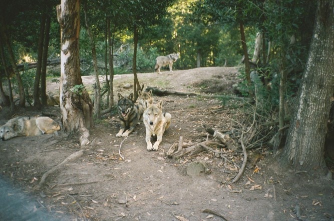 Magdalena Wosinska, South Africa