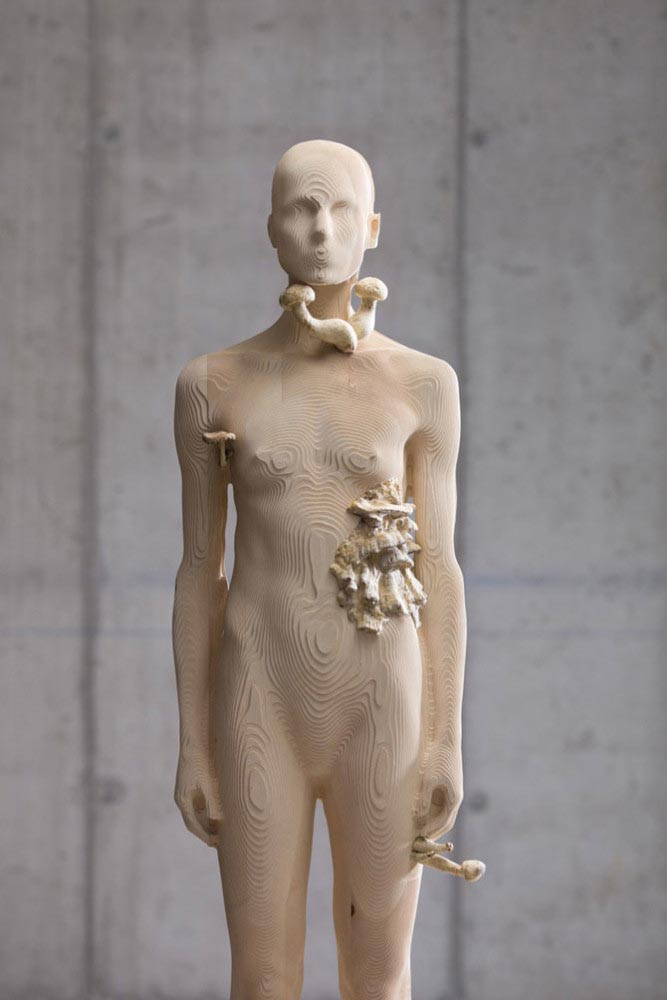 Aron Demetz, Pholiota Denuntians, Maplewood