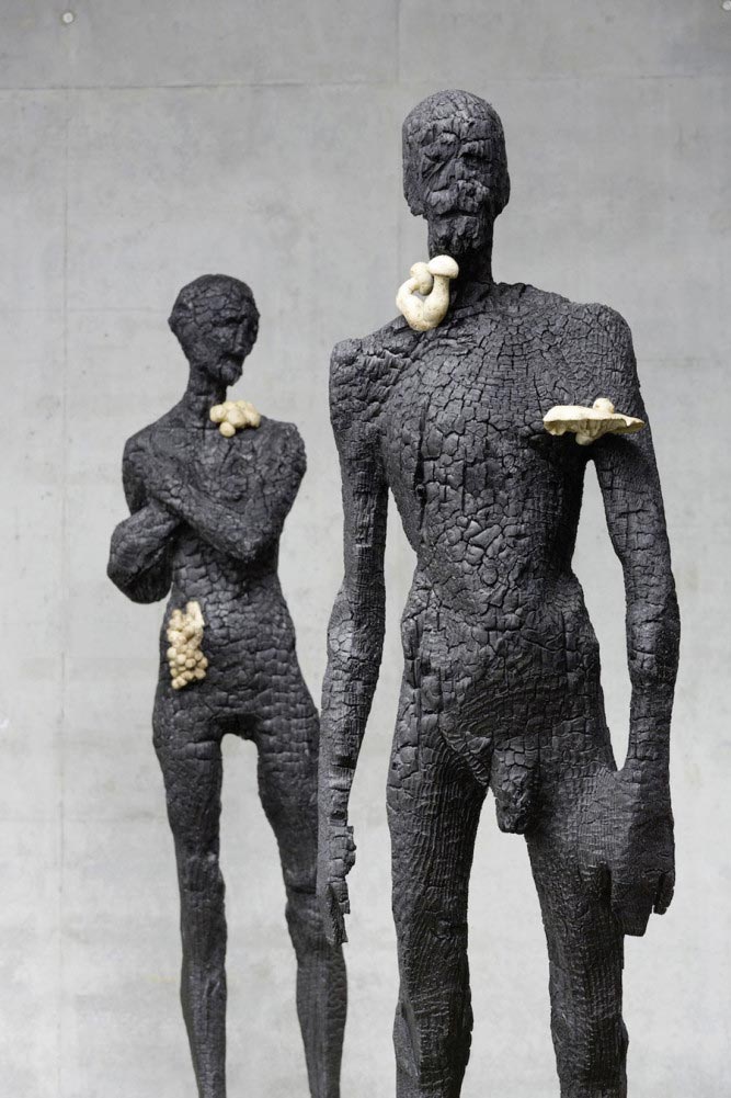 Aron Demetz, W.T., Carbonized Wood and Silicon