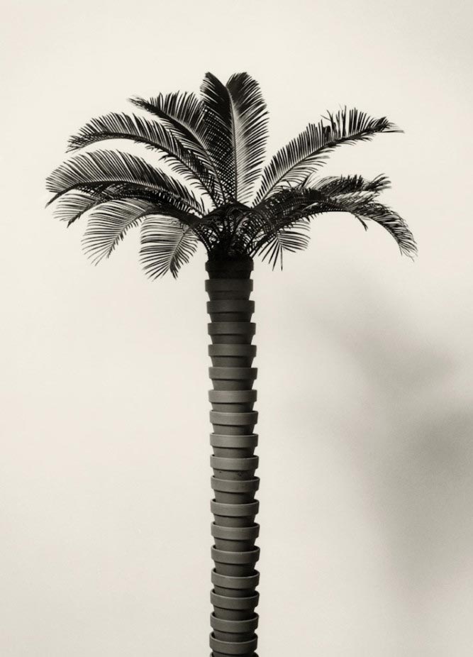 Chema Madoz