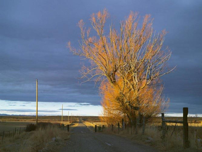 Lucas Foglia, Frontcountry