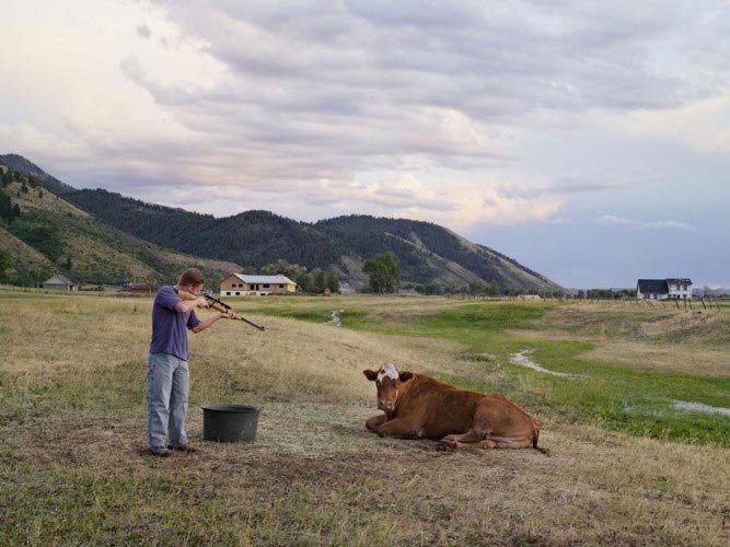 Lucas Foglia, Frontcountry