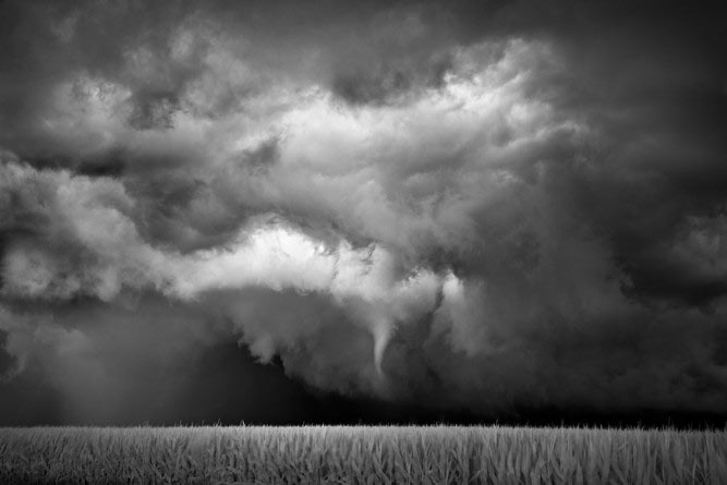 Mitch Dobrowner, Funnel-Cornfield, Northfield, Minnesota