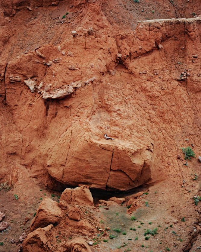 Paths, Racines recherchées, Gobi, Mongolia