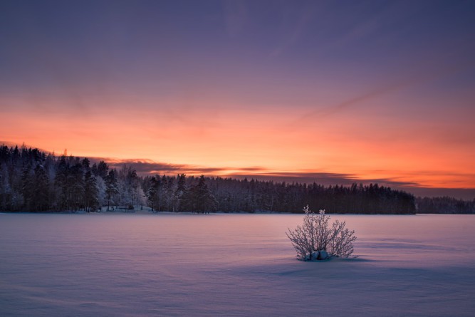 Mikko Lagerstedt, Last Light