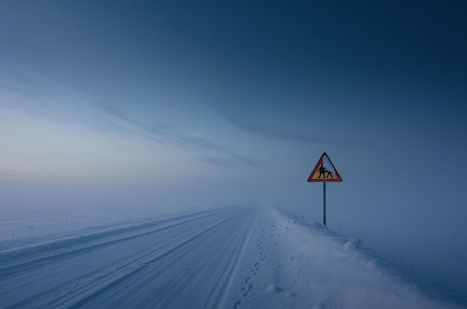 Mikko Lagerstedt, Children Story