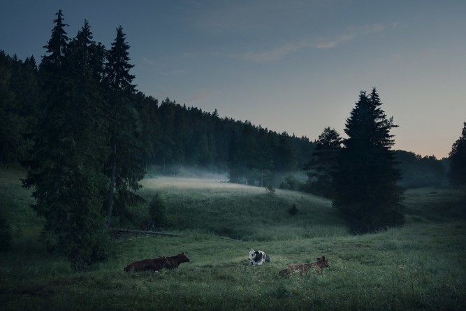 Mikko Lagerstedt, Summer Night in Finland