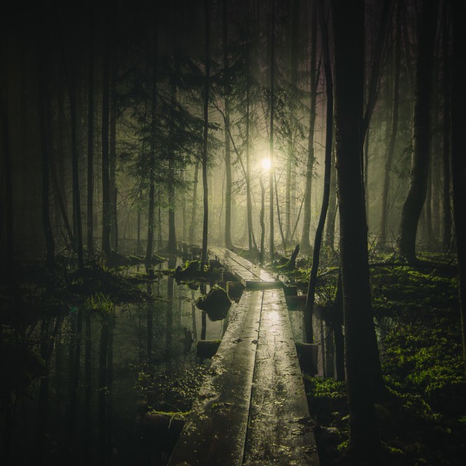 Mikko Lagerstedt, Pathway