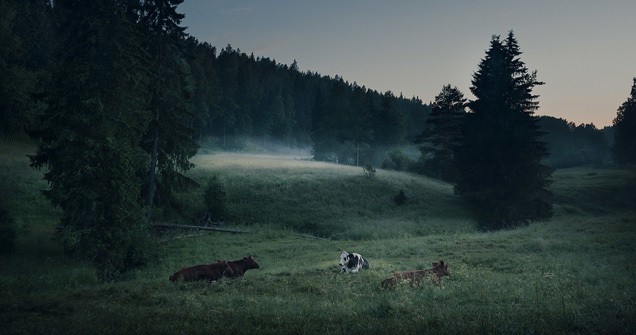 Mikko Lagerstedt