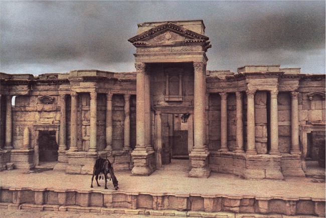 Dolorès Marat, Le dromadaire du théâtre de Palmyre