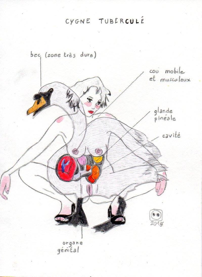 Tamina Beausoleil
