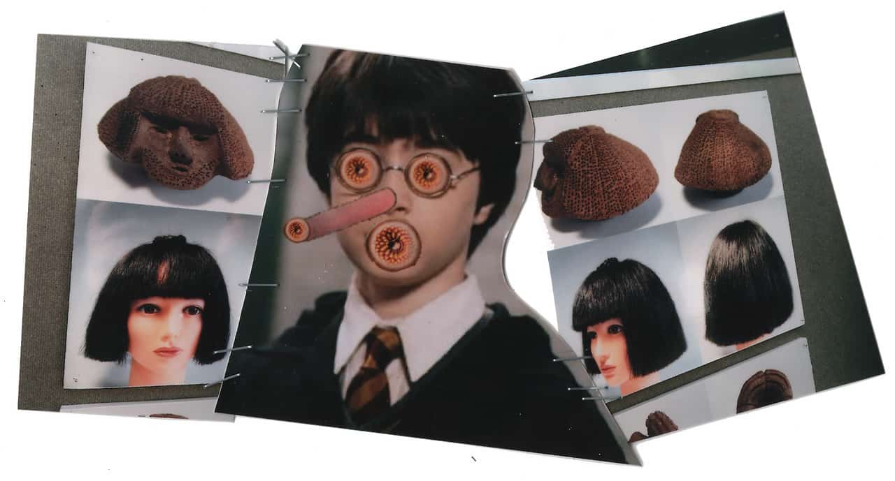 Nat koyama