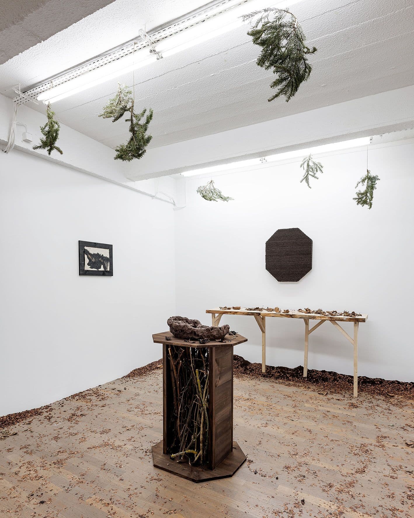 Florian Mermin, Caresse de forêt, vue d'exposition, 2019