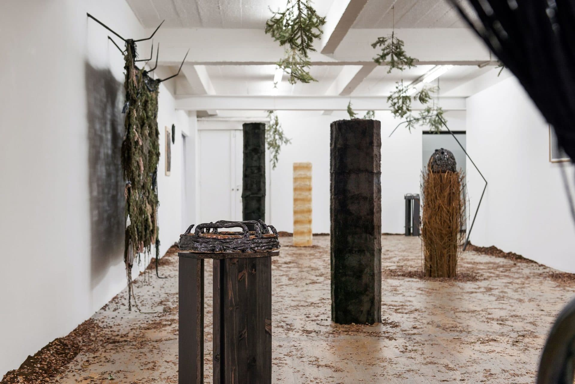 Florian Mermin, Caresse de forêt, vue d'exposition, 2019