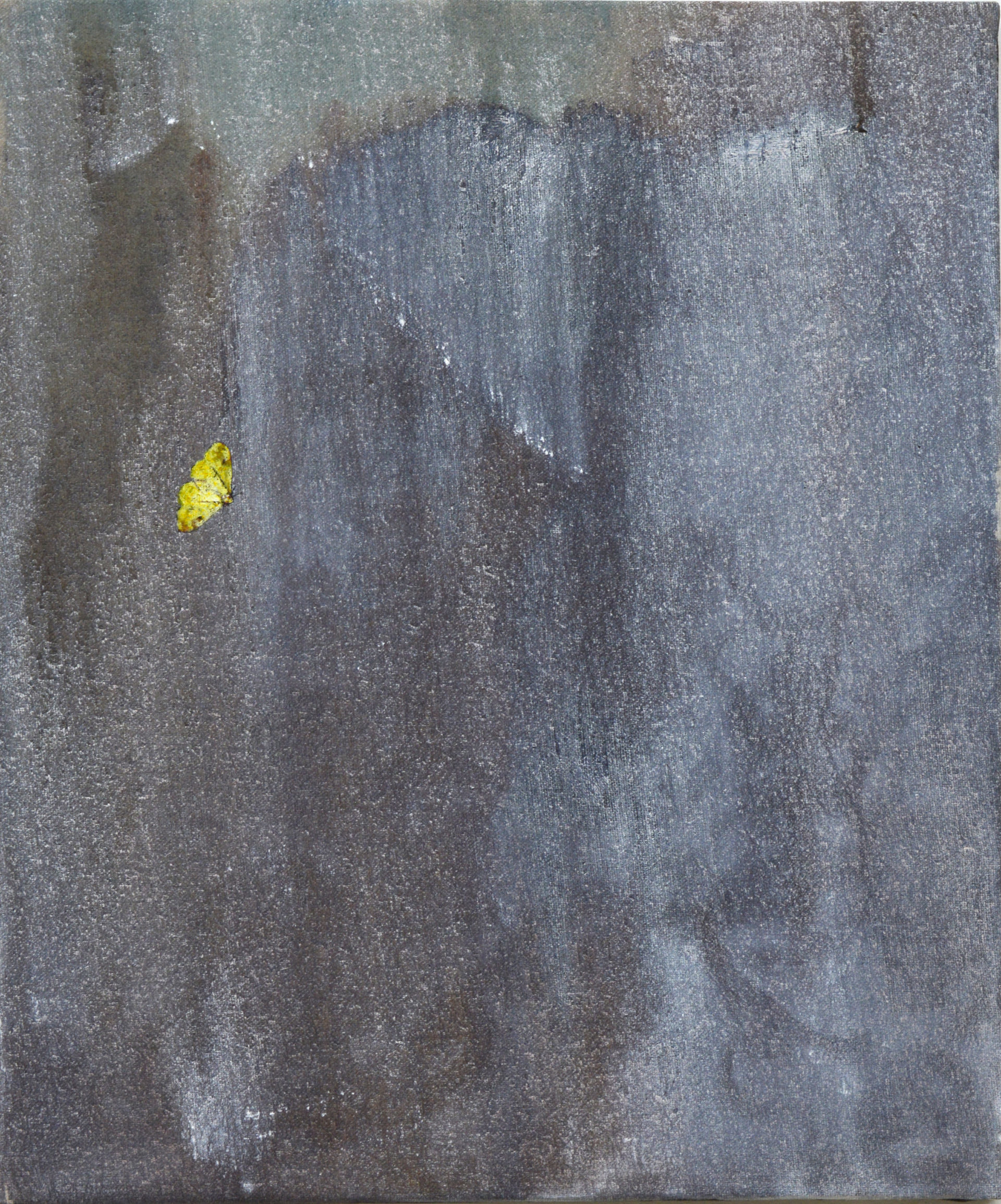 Benoît Blanchard, Specola#40, huile sur toile, 55 x 46cm, jan. 2019