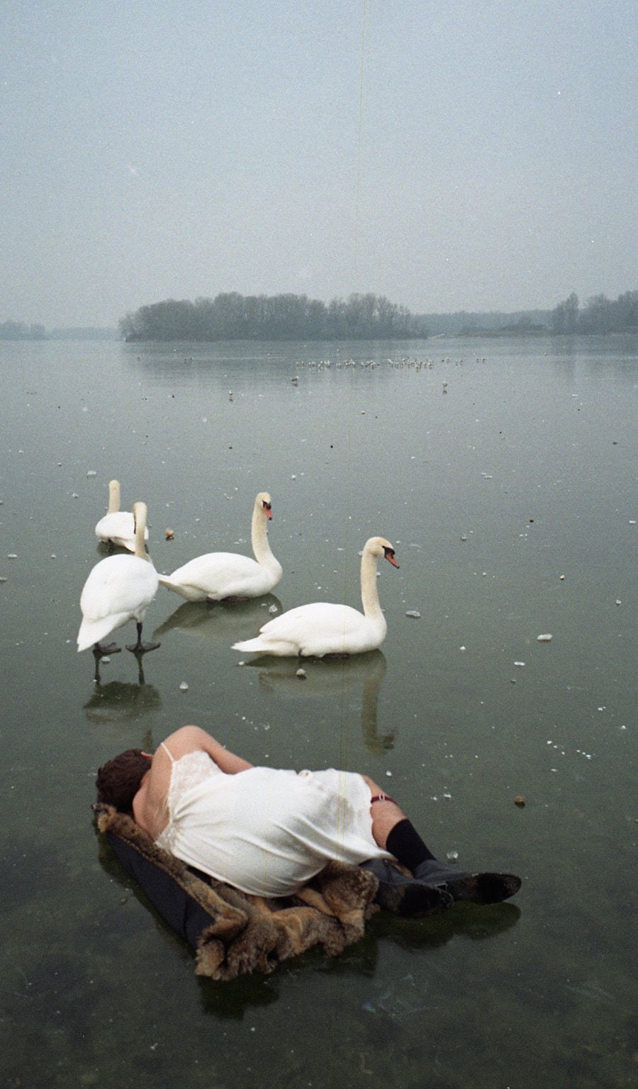 Chloé Sassi, Swans, Lyon, France, 2018