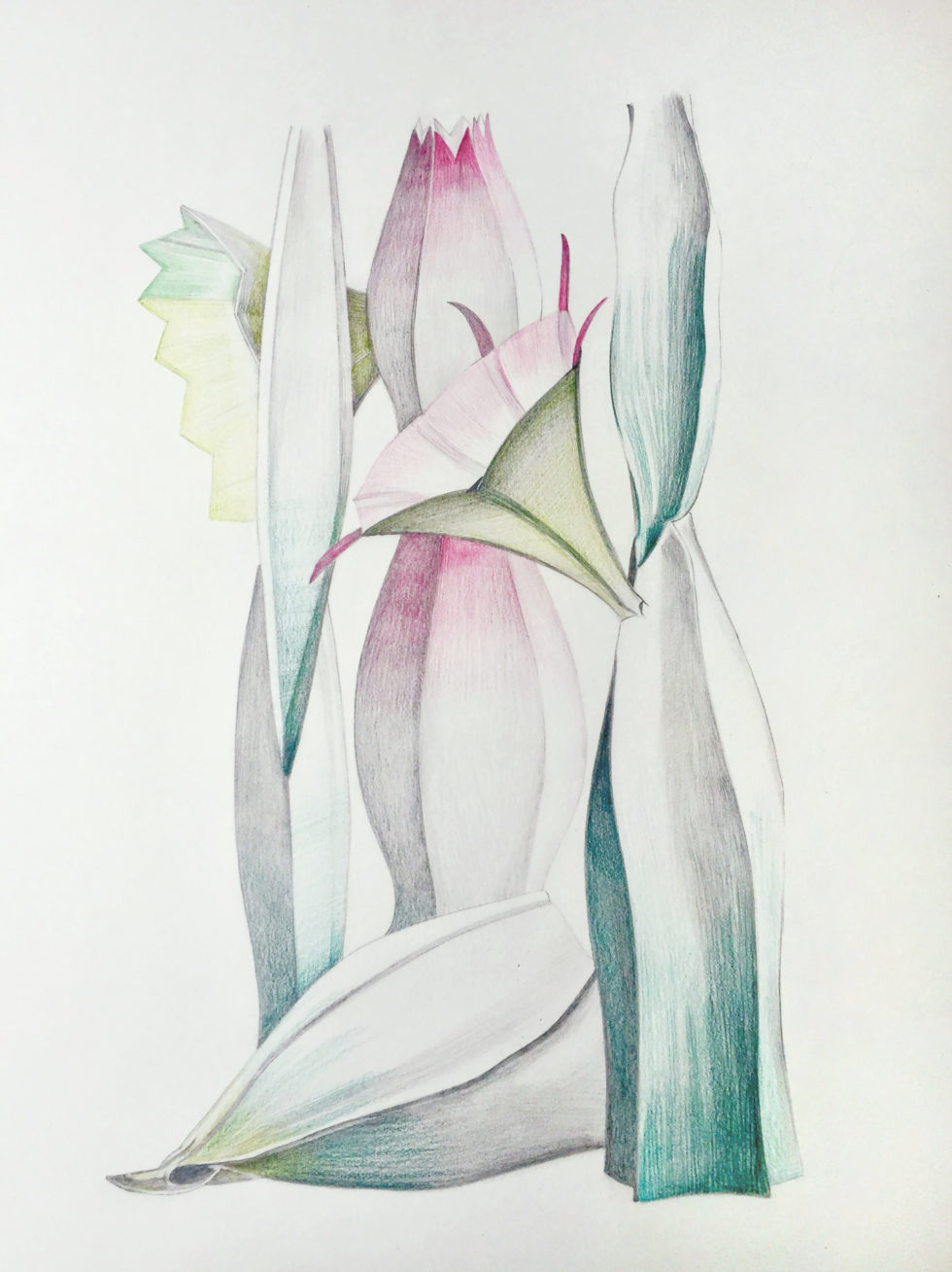 Maria Ibanez Lago, Crayon sur papier grain fin 300g, 40cm x 50cm, 2020 ©