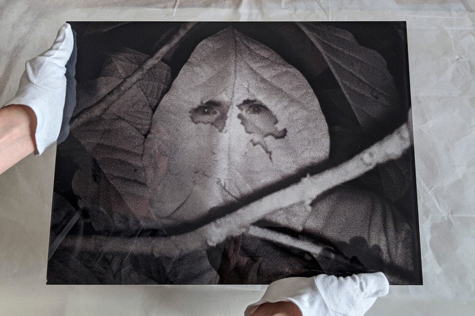 © Marc Lathuillière, Hoja. Photographie infrarouge, impression UV sur verre, 33x44 cm, 2020 